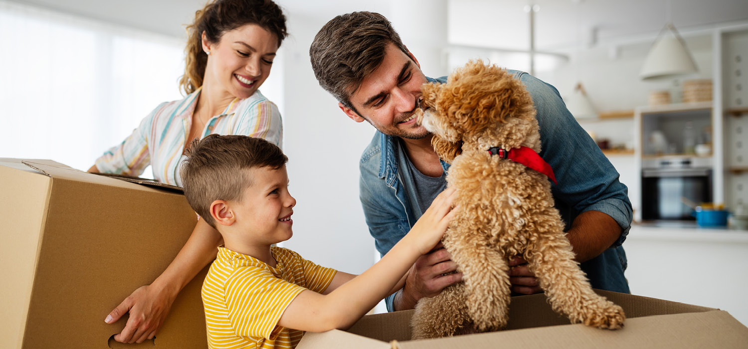 Selling and Buying at the Same Time: What Move-Up Buyers Need to Know